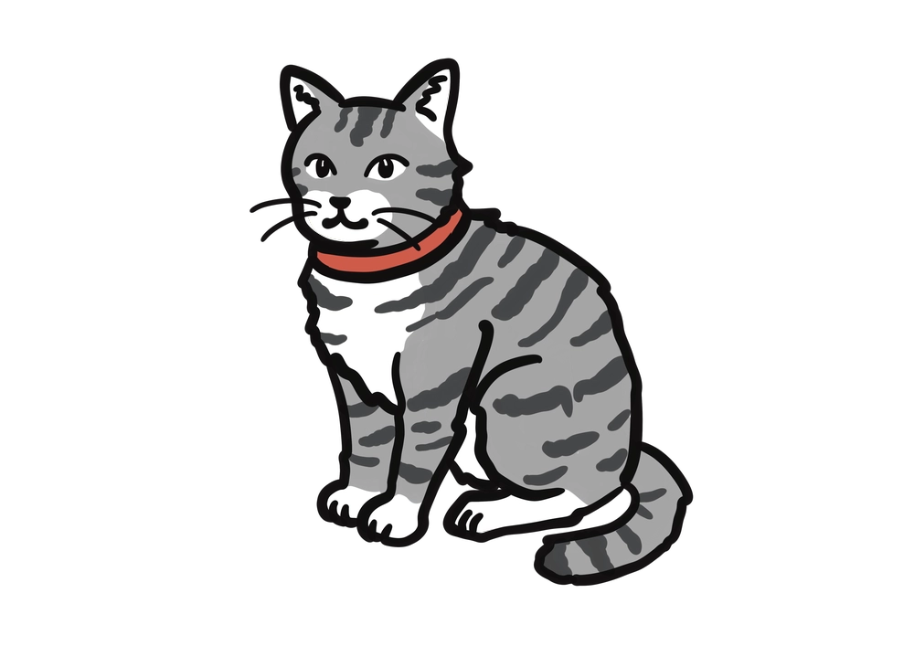 とらねこのイラスト