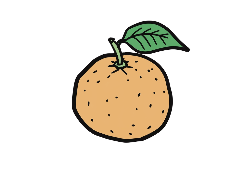 葉のついたみかんのイラスト