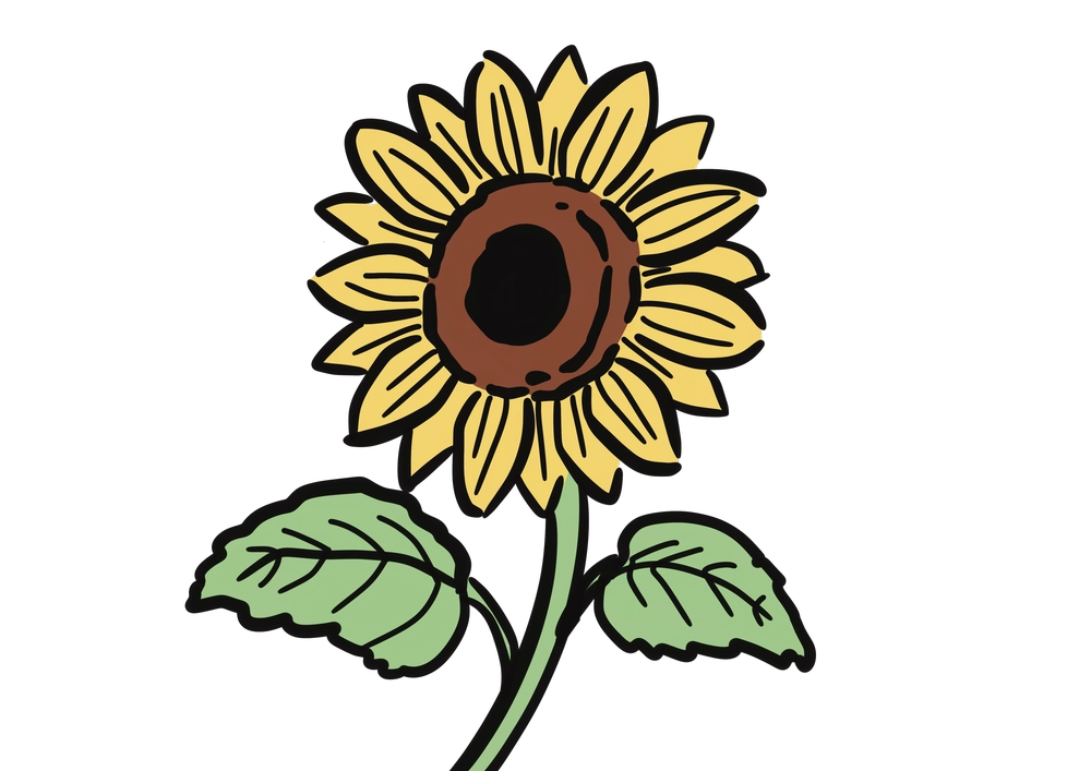 ひまわりの花のイラスト