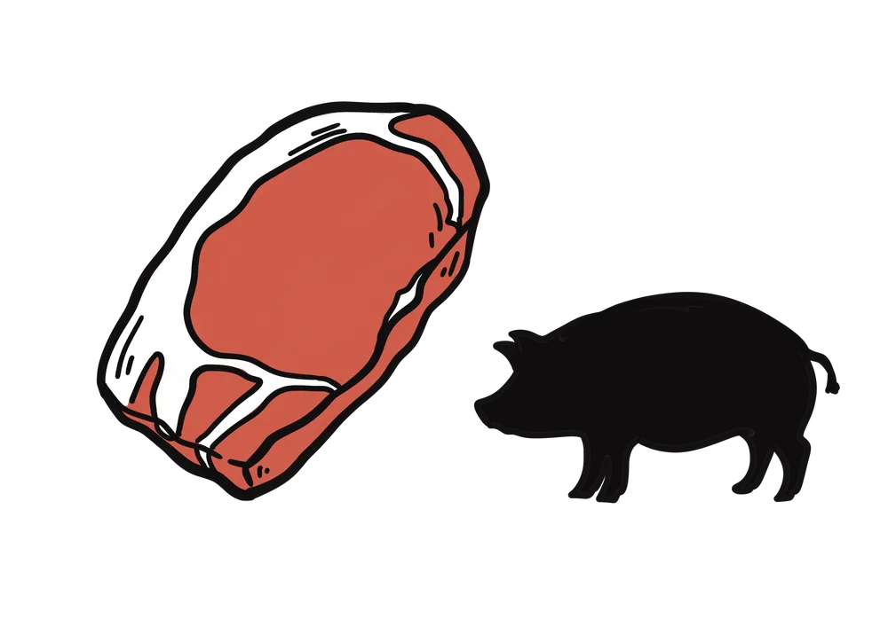 豚肉と豚のシルエットのイラスト
