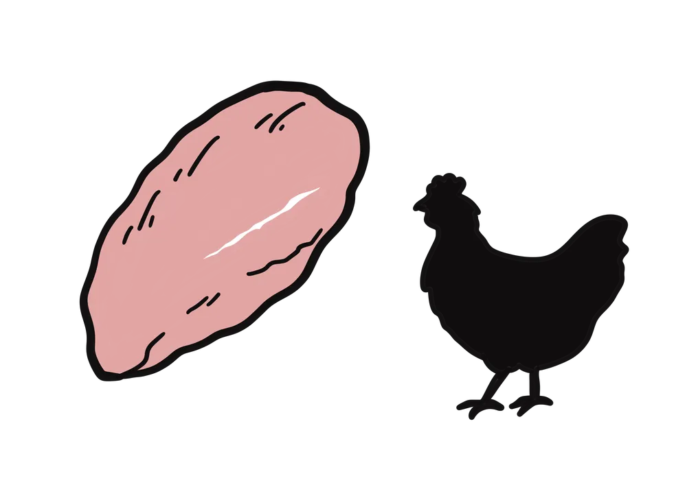 鶏肉と鶏のシルエットのイラスト