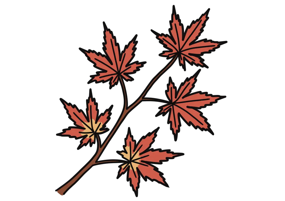 紅葉したもみじのイラスト