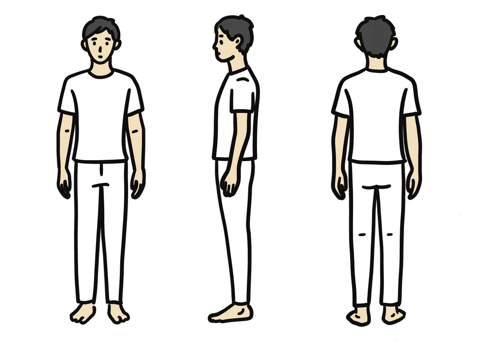 からだ全体を示すイラスト