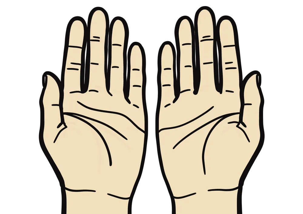手のひらを見せる両手のイラスト