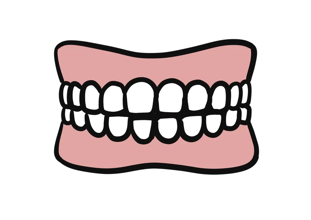 歯のイラスト