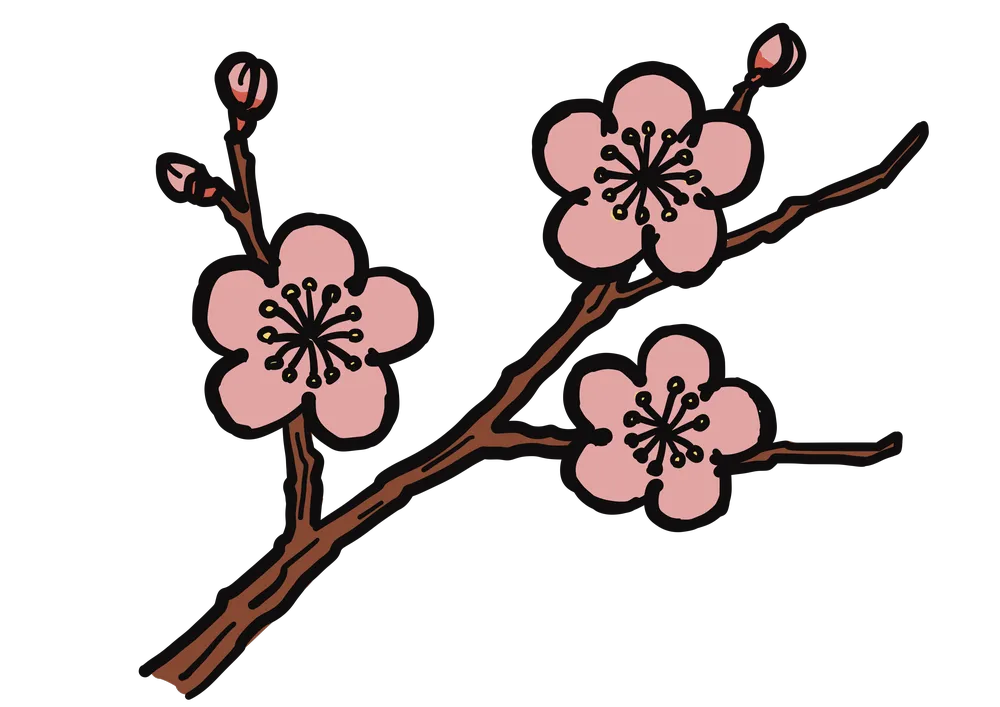 梅の花と枝のイラスト