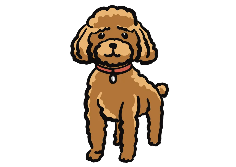 茶色いトイプードルのイラスト