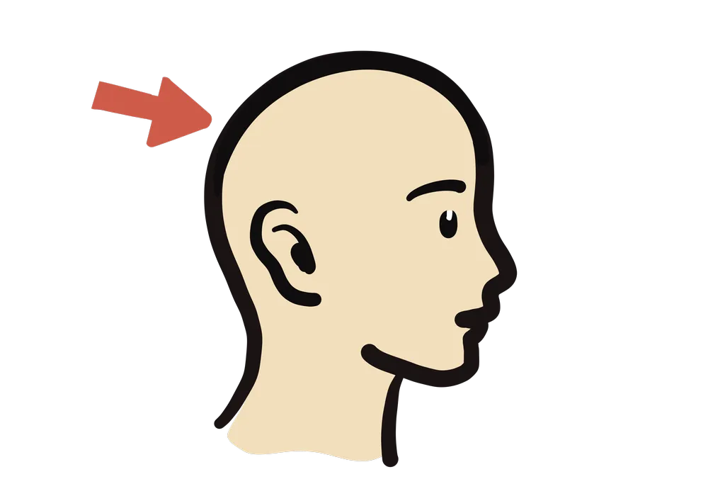 頭の範囲を示すイラスト