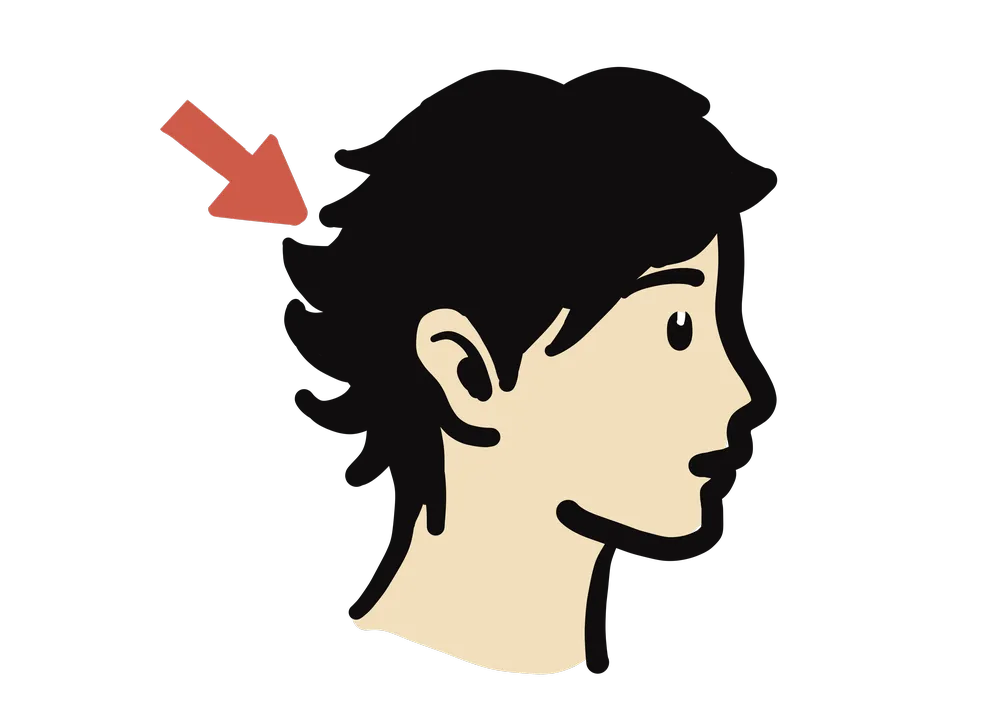 髪の毛を示すイラスト