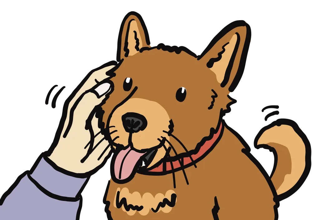 犬を触る様子を表すイラスト