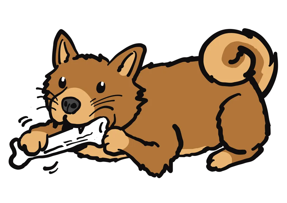 犬が骨ガムを噛む様子を表すイラスト