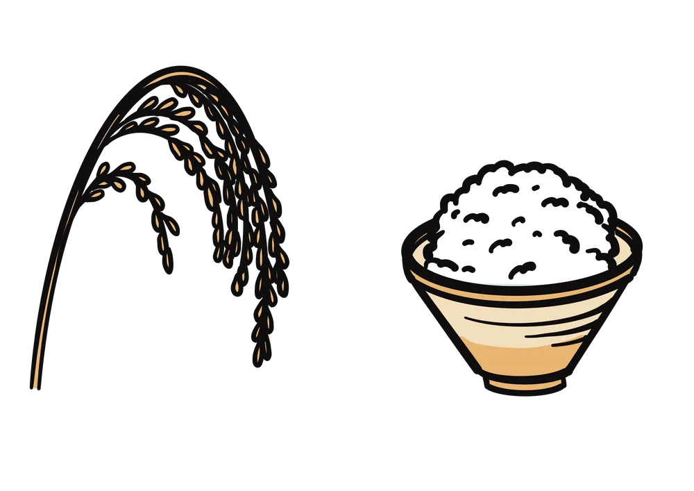 左が米の原料の稲、右が茶碗の中に山盛りのお米(ご飯)のイラスト